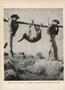 Thumbnail image of item number 2 in: 'Texas Game and Fish, Volume 10, Number 1, December 1951'.