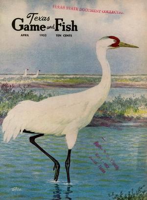 Primary view of object titled 'Texas Game and Fish, Volume 10, Number 5, April 1952'.
