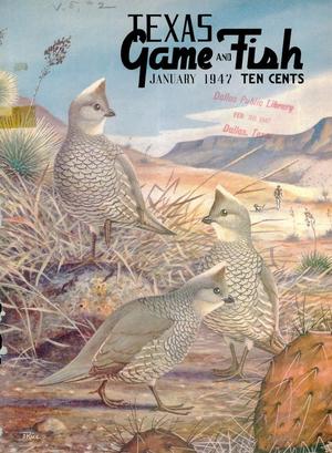 Texas Game and Fish, Volume 5, Number 2, January 1947