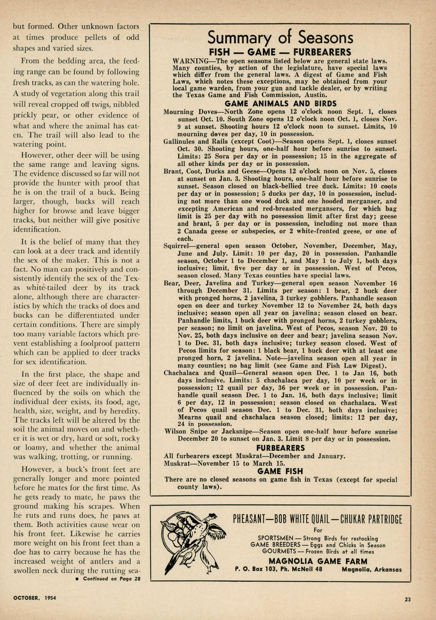 Texas Game and Fish, Volume 12, Number 11, October 1954
                                                
                                                    23
                                                
