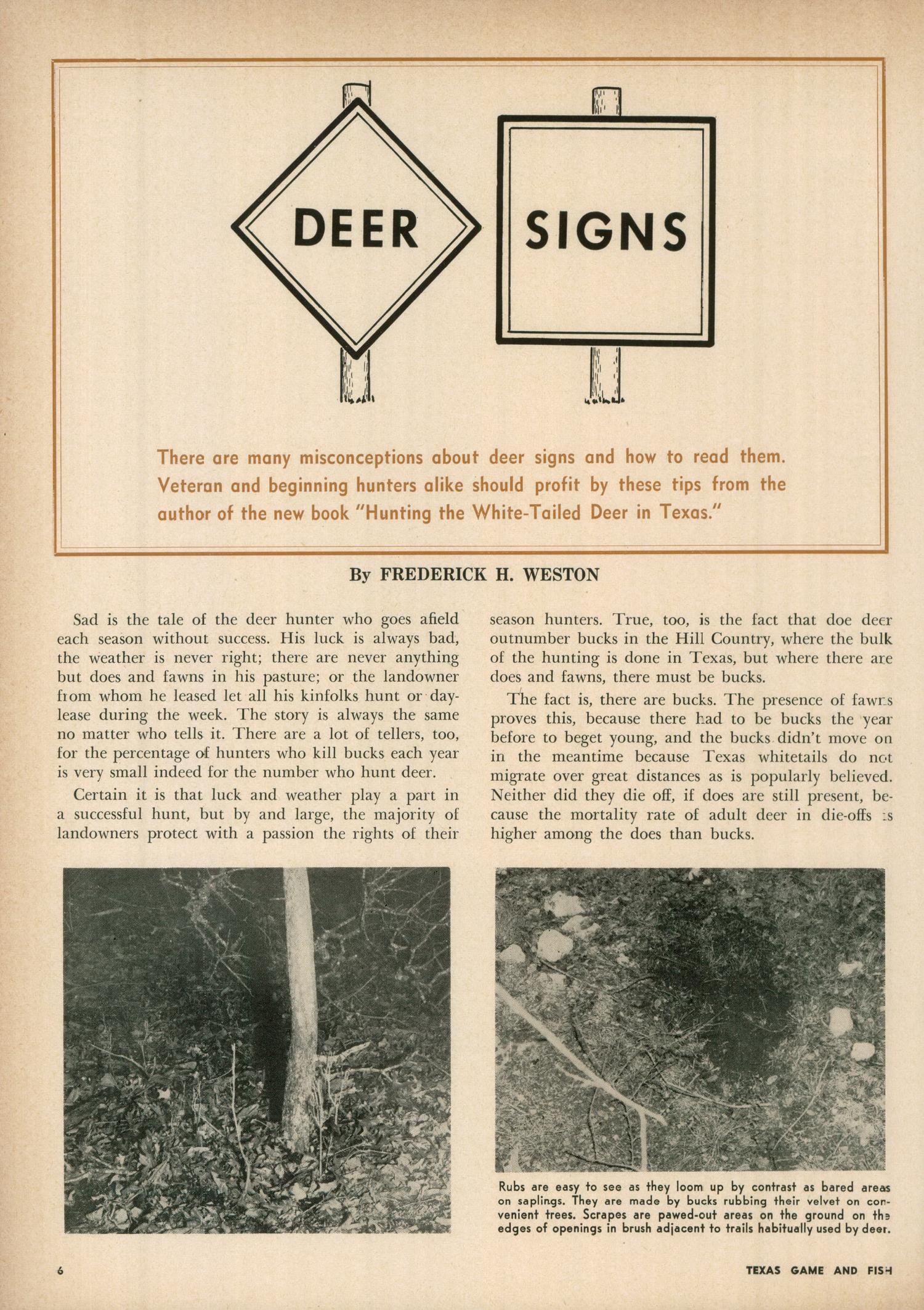 Texas Game and Fish, Volume 12, Number 11, October 1954
                                                
                                                    6
                                                