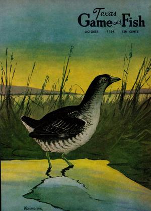 Texas Game and Fish, Volume 12, Number 11, October 1954