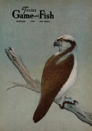 Texas Game and Fish, Volume 12, Number 13, December 1954