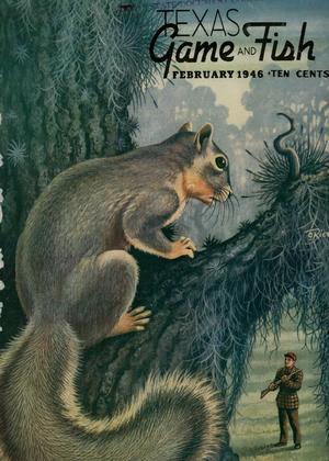 Texas Game and Fish, Volume 4, Number 3, February 1946