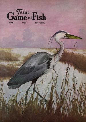Texas Game and Fish, Volume 13, Number 4, April 1955