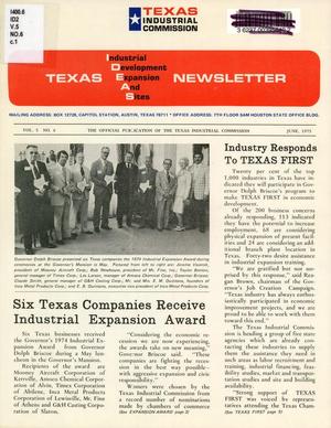 Primary view of object titled 'Texas IDEAS Newsletter, Volume 5, Number 6, June 1975'.
