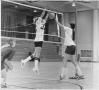 Photograph: Female Students Playing Volleyball
