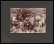 Thumbnail image of item number 1 in: '[Allen family riding donkeys in Mineral Wells]'.