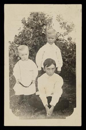 Primary view of object titled '[Photographic postcard of three Stirman boys]'.