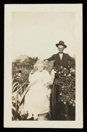 Primary view of object titled '[Uncle Rollin and Aunt Dolly Stirman in the flowers at top of high school]'.