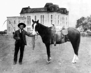 Primary view of [Patch Stubblefield With  a Horse by the Courthouse]