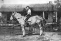 Photograph: [Woman on a Mule in Front of a House]