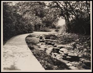 Primary view of object titled '[Botanic Garden Pathway]'.