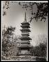 Thumbnail image of item number 1 in: '[Botanic Garden Pagoda]'.
