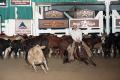 Photograph: Cutting Horse Competition: Image 1997_D-100_16