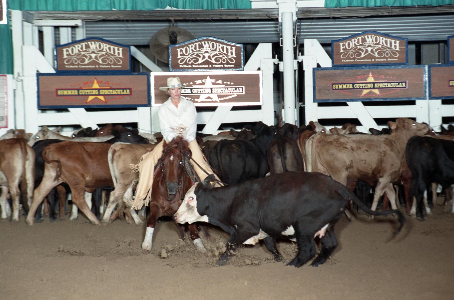 Cutting Horse Competition: Image 1997_D-104_14
                                                
                                                    [Sequence #]: 1 of 1
                                                