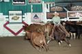 Thumbnail image of item number 1 in: 'Cutting Horse Competition: Image 1997_D-108_28'.