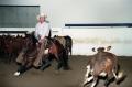 Photograph: Cutting Horse Competition: Image 1997_D-10_07