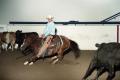 Photograph: Cutting Horse Competition: Image 1997_D-10_09