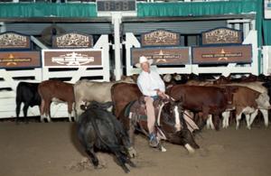 Primary view of object titled 'Cutting Horse Competition: Image 1997_D-111_25'.
