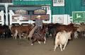 Photograph: Cutting Horse Competition: Image 1997_D-112_26
