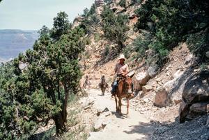 [People on Horseback in the Grand Canyon]