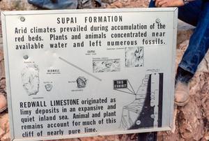 [Sign in the Grand Canyon Describing Fossils]
