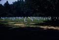 Photograph: [Arlington National Cemetery]