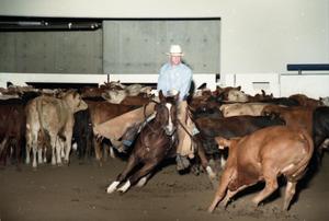 Primary view of object titled 'Cutting Horse Competition: Image 1997_D-12_05'.
