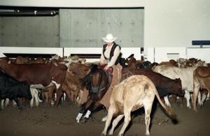 Primary view of object titled 'Cutting Horse Competition: Image 1997_D-12_07'.