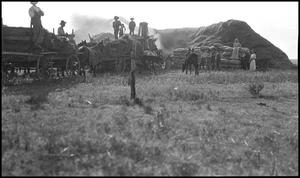 Primary view of object titled '[Threshing crew]'.