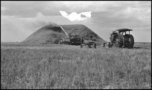 Primary view of object titled '[Threshing crew]'.