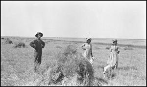 [People in George Rockenfield's wheat field]