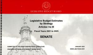 Primary view of object titled 'Texas Senate Legislative Budget Estimates by Strategy: Fiscal Years 2021 to 2025, Articles 1-3'.