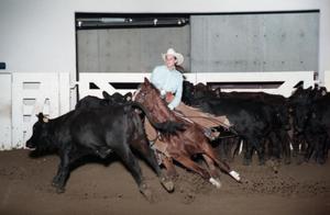 Primary view of object titled 'Cutting Horse Competition: Image 1997_D-604_08'.