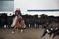 Photograph: Cutting Horse Competition: Image 1997_D-6_01
