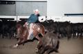Photograph: Cutting Horse Competition: Image 1997_D-6_13