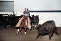 Photograph: Cutting Horse Competition: Image 1997_D-6_14