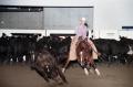 Photograph: Cutting Horse Competition: Image 1997_D-6_19
