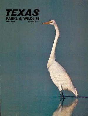 Primary view of object titled 'Texas Parks & Wildlife, Volume 26, Number 4, April 1968'.