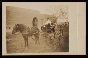 [David N. Myrick in a Buggy with a Horse]