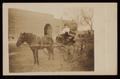 Photograph: [David N. Myrick in a Buggy with a Horse]