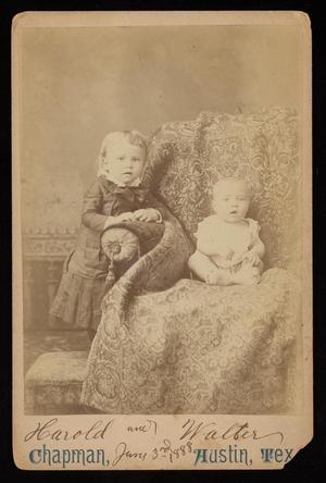 Primary view of [Portrait of Harold and Walter]