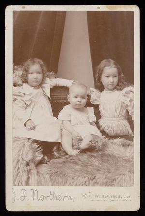 Primary view of object titled '[Portrait of the Goree Children]'.