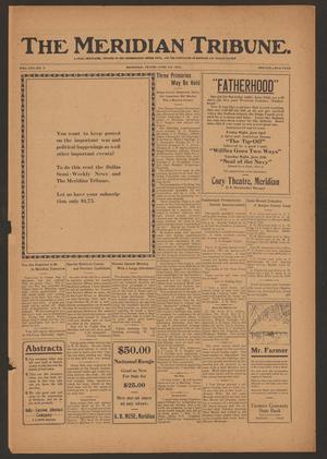 The Meridian Tribune. (Meridian, Tex.), Vol. 22, No. 2, Ed. 1 Friday, June 23, 1916