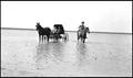 Photograph: [Carriage and a man on horseback in the water of a playa lake]