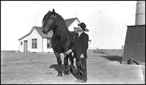[Mr. Palm and a horse]