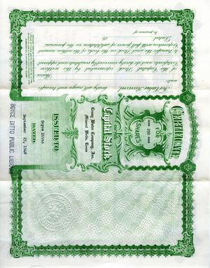 Primary view of object titled '[The Crazy Water Company - Stock Certificate]'.