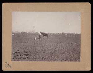 Primary view of object titled '[Tom Vest with a Horse]'.