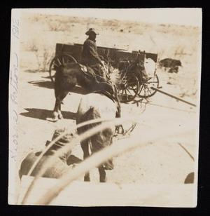 Primary view of object titled '[George Patton on a Horse]'.
